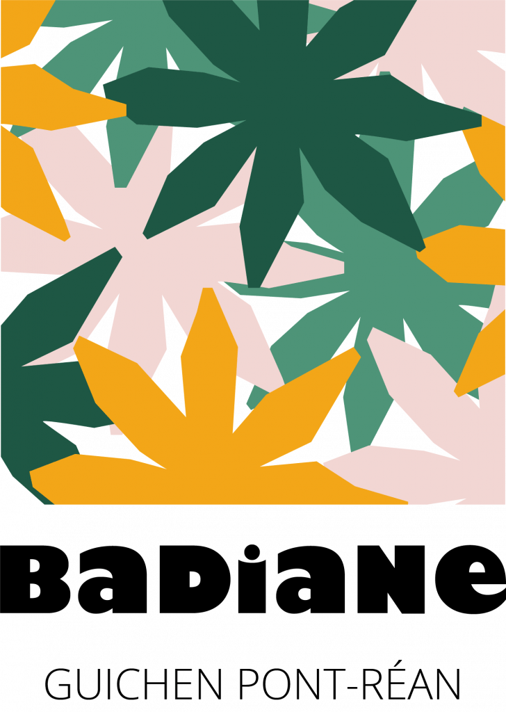 Logo Badiane - Guichen